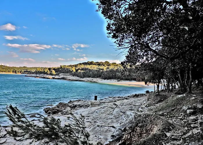 아파트 In Center *