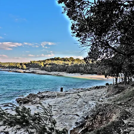 Apartmán In Center *