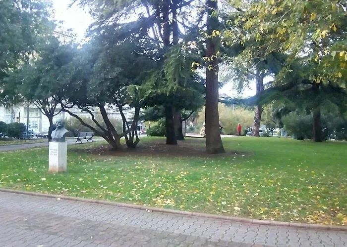 In Center * 풀라